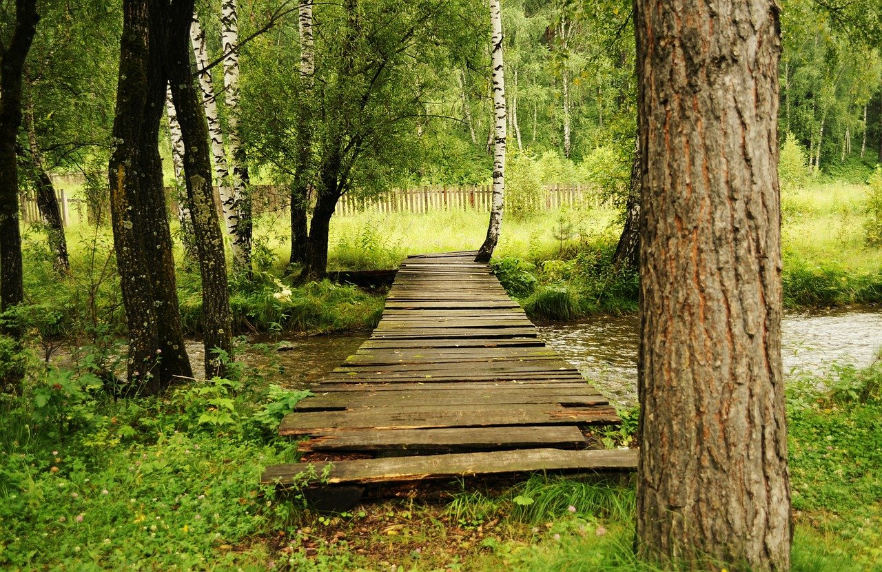 bridge, wooden, woods-21031.jpg